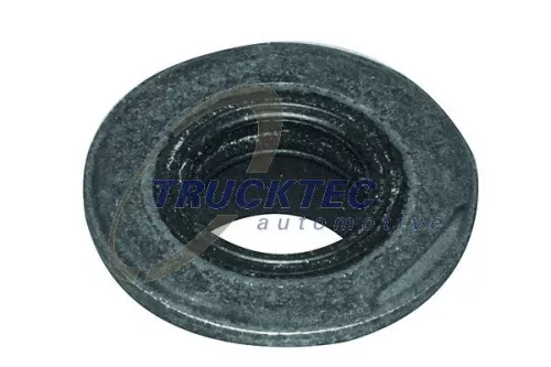 Seal Ring, cylinder head cover bolt