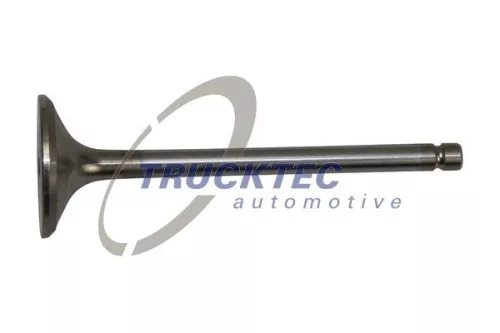 Intake Valve