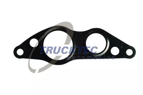 Gasket, EGR valve