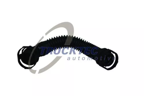 Hose, crankcase ventilation