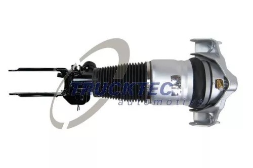 Air Suspension Strut