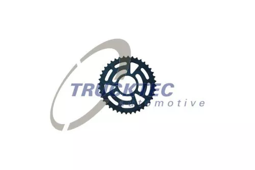 Gear/Sprocket, camshaft