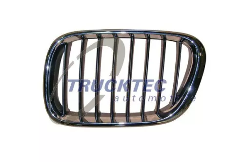 Radiator Grille