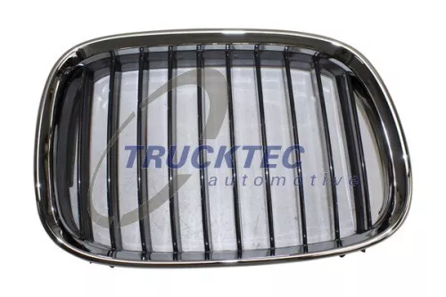Radiator Grille