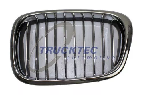 Radiator Grille