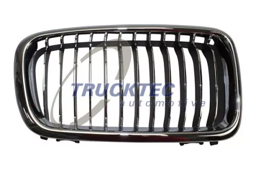Radiator Grille