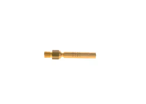 BOSCH Injector (0437502054)