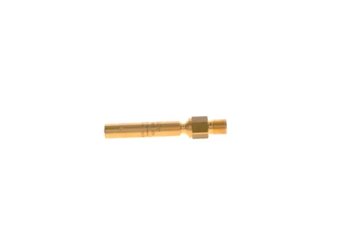 BOSCH Injector (0437502054)