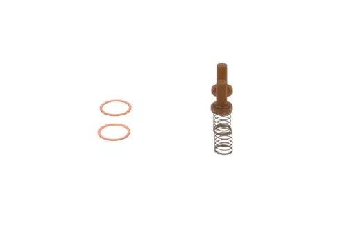 BOSCH Repair Kit, fuel pump (2447010011)