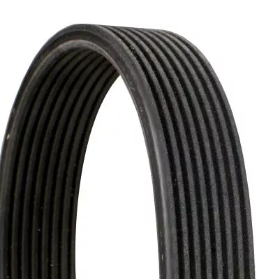 V-ribbed Belt