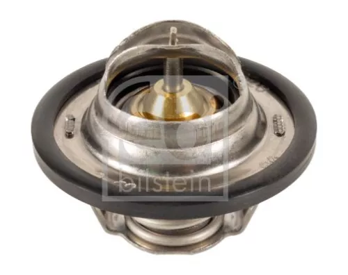 1x Thermostat, coolant
