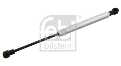 1x Gas Spring, bonnet