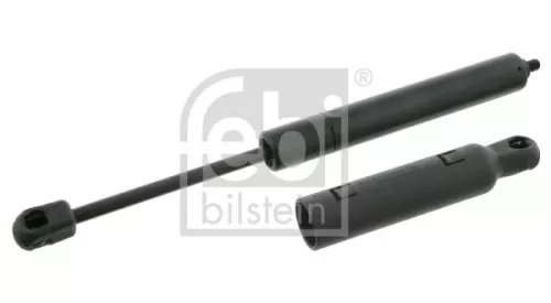 1x Gas Spring, bonnet