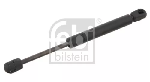 1x Gas Spring, bonnet