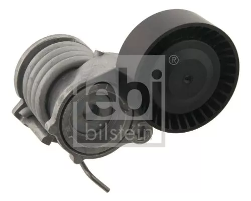 1x Belt Tensioner, V-ribbed belt
