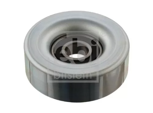 1x Deflection/Guide Pulley, V-ribbed belt