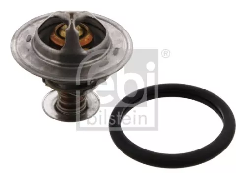 1x Thermostat, coolant