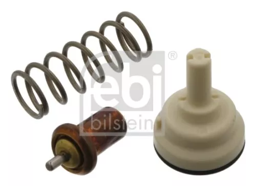 1x Thermostat, coolant