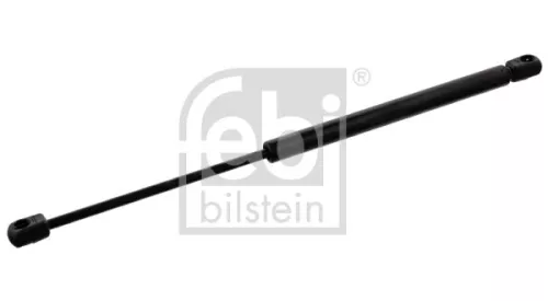 1x Gas Spring, bonnet
