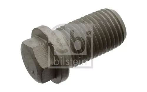 1x Screw Plug, oil sump