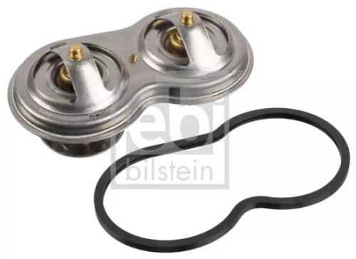 1x Thermostat, coolant