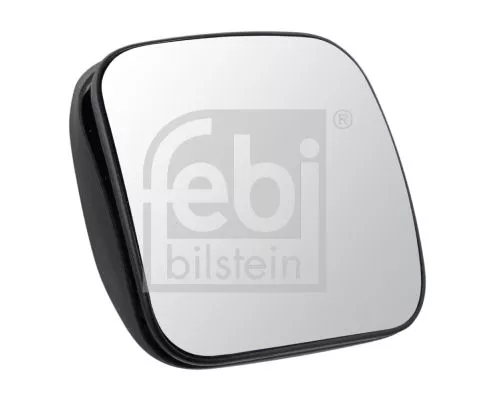 1x Wide-Angle Mirror