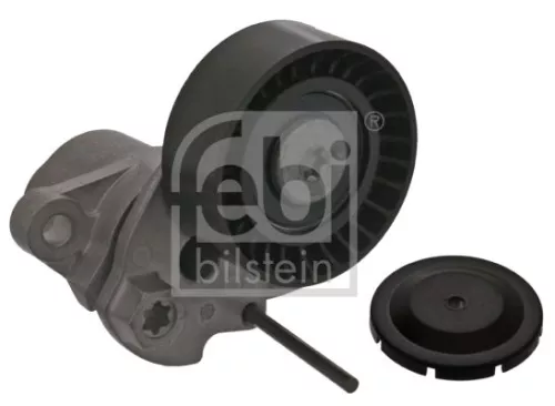 1x Belt Tensioner, V-ribbed belt