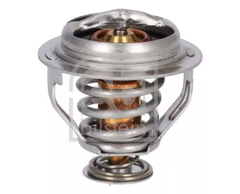 1x Thermostat, coolant