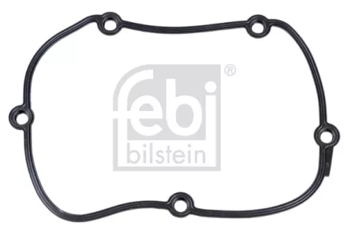 1x Gasket, timing case cover