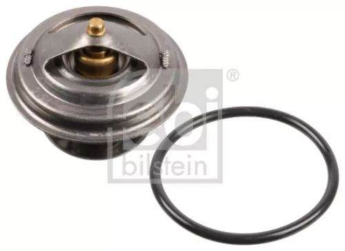 1x Thermostat, coolant