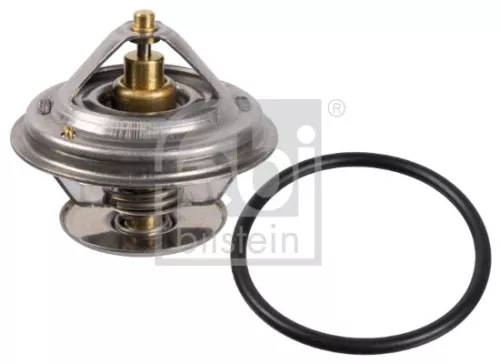 1x Thermostat, coolant
