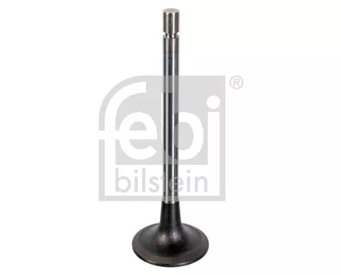 1x Intake Valve