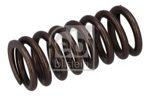 1x Valve Spring