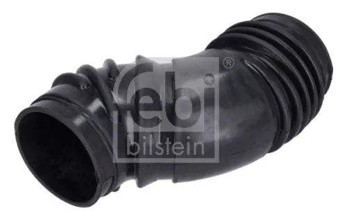 FEBI BILSTEIN 1x Hose, air supply (188176)