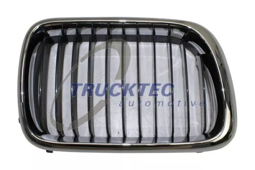Radiator Grille