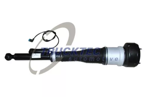 Air Suspension Strut