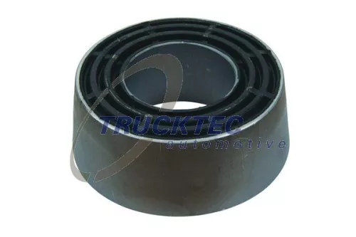 Mounting, leaf spring