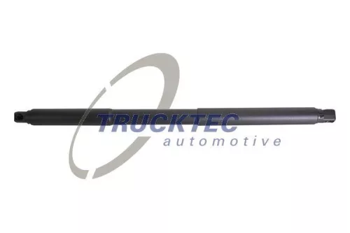 Gas Spring, boot/cargo area