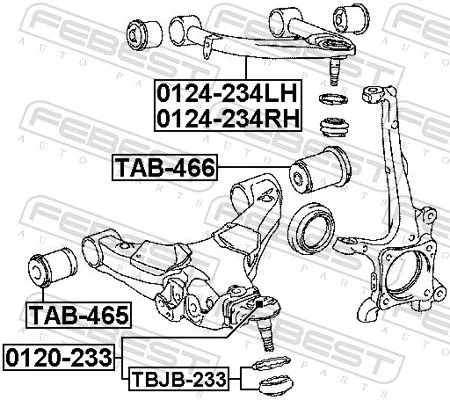 FEBEST Control/Trailing Arm, wheel suspension (0124-234RH)