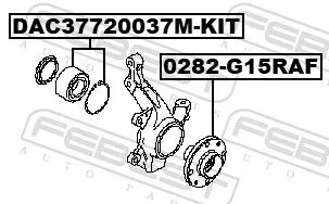FEBEST Wheel Hub (0282-G15RAF)