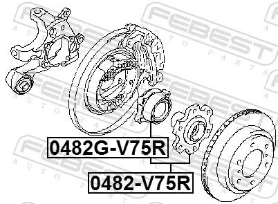 FEBEST Wheel Hub (0482G-V75R)