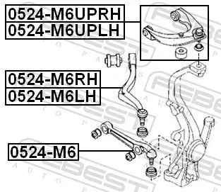 FEBEST Control/Trailing Arm, wheel suspension (0524-M6UPRH)