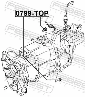 FEBEST Screw Plug, oil sump (0799-TOP)