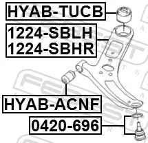 FEBEST Control/Trailing Arm, wheel suspension (1224-SBLH)