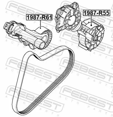 FEBEST Tensioner Pulley, V-ribbed belt (1987-R55)