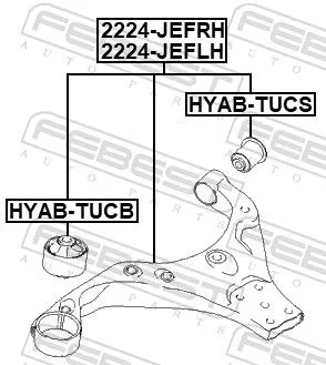 FEBEST Control/Trailing Arm, wheel suspension (2224-JEFLH)