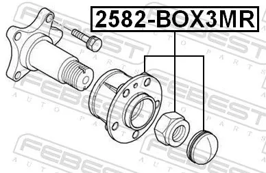 FEBEST Wheel Hub (2582-BOX3MR)