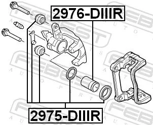 FEBEST Piston, brake caliper (2976-DIIIR)