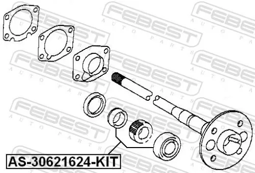 FEBEST Bearing, drive shaft (AS-30621624-KIT)