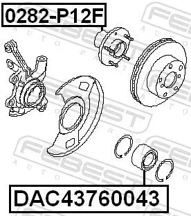 FEBEST Wheel Bearing (DAC43760043)